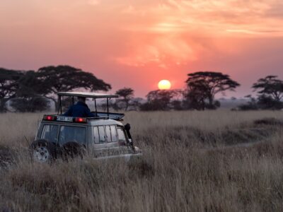 Safaris Lodges für Tierbeobachtungen