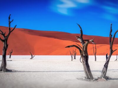 Namibia mit Travel Lounge entdecken