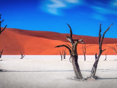 Die Namib Wüste mit Travel Lounge entdecken Die Namib Wüste mit Travel Lounge entdecken