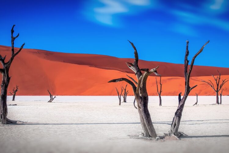 Die Namib Wüste mit Travel Lounge entdecken