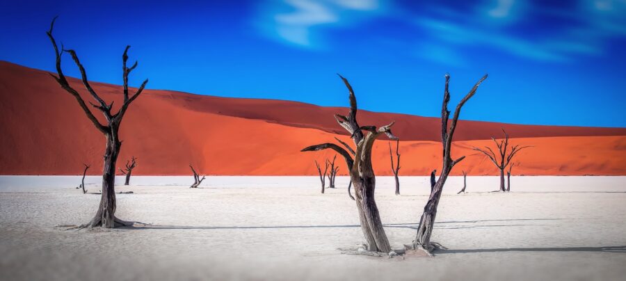 Die Namib Wüste mit Travel Lounge entdecken