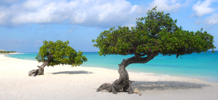 Aruba Ferien