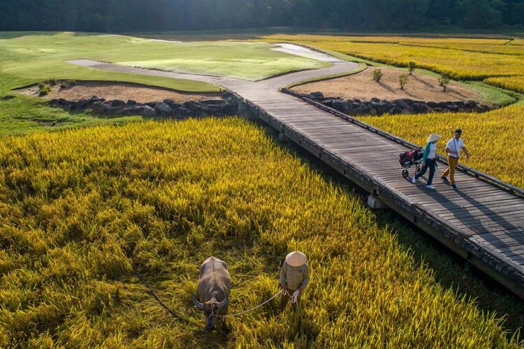 Banyan Tree Lang Co Golfplatz