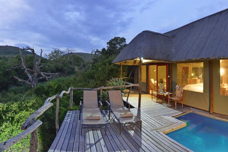 Bayethe Tented Lodge - Shamwari Reserve Südafrika