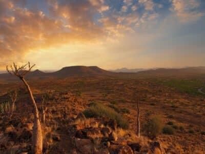Damaraland mit Travel Lounge entdecken