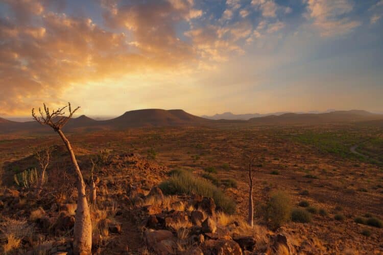 Damaraland mit Travel Lounge entdecken