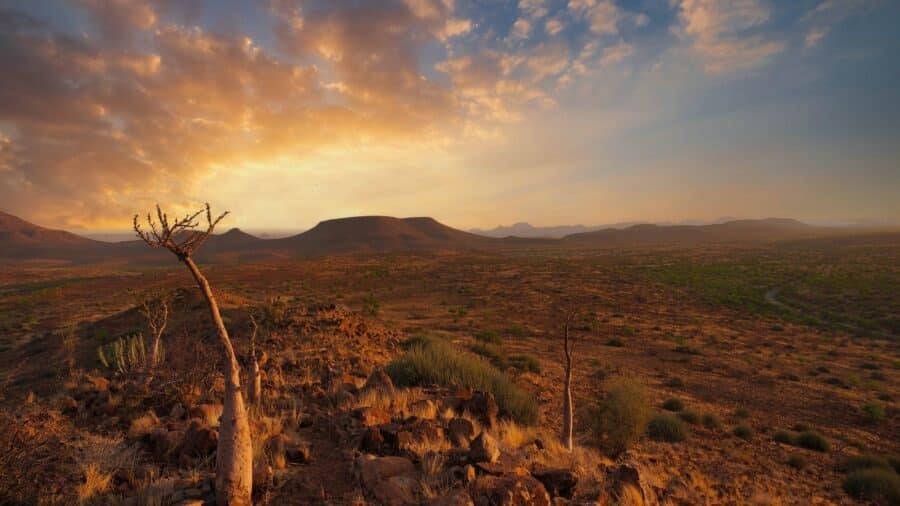 Damaraland mit Travel Lounge entdecken