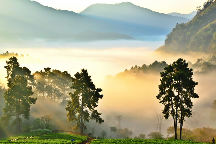 Doi Ang Khang