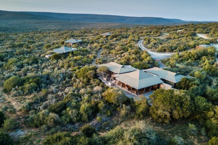 Kwandwe Reserve Ecca Lodge 