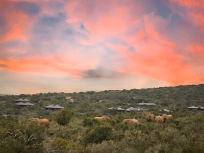 Kwandwe Reserve Ecca Lodge
