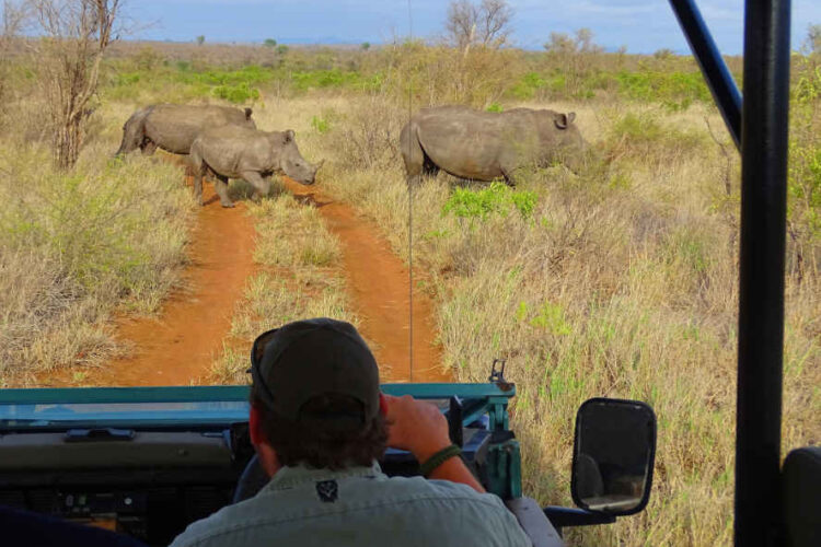 Lukimbi Safari Lodge Pirschfahrt