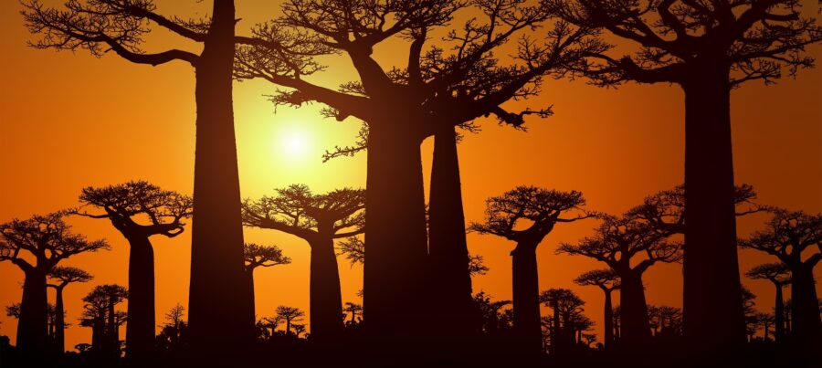 Madagaskar Rundreisen und Hotels
