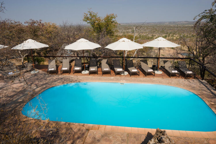 Ongava Lodge Pool