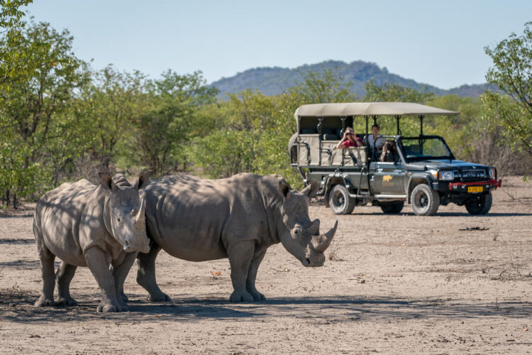 Ongava Lodge Pirschfahrt