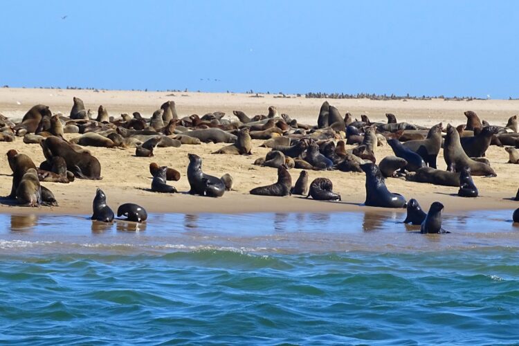 Erongo Region Namibia