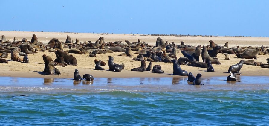 Erongo Region Namibia