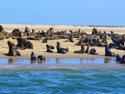 Erongo Region Namibia