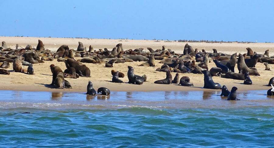 Erongo Region Namibia