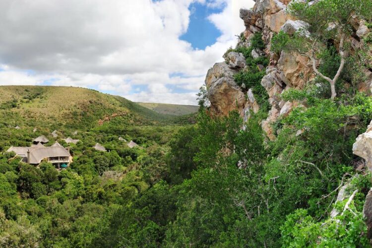 Eagles Crag Lodge - Shamwari Reserve Südafrika