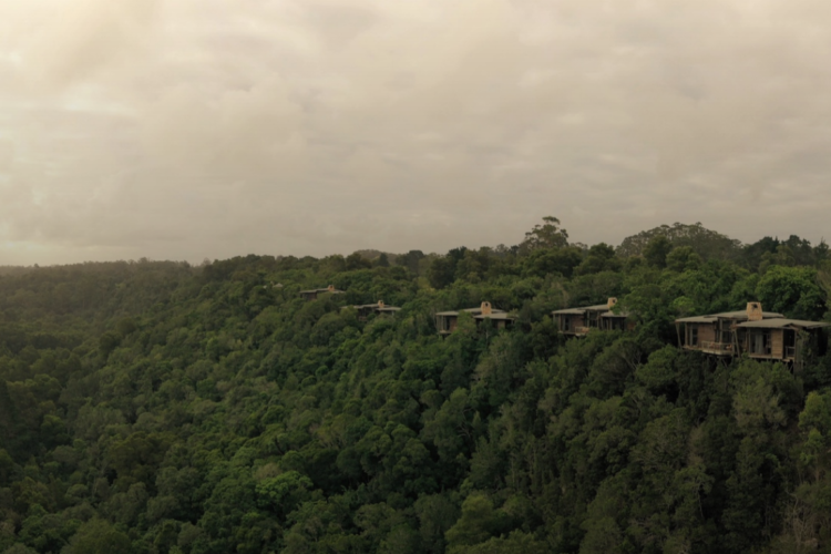 Tsala Treetop Lodge