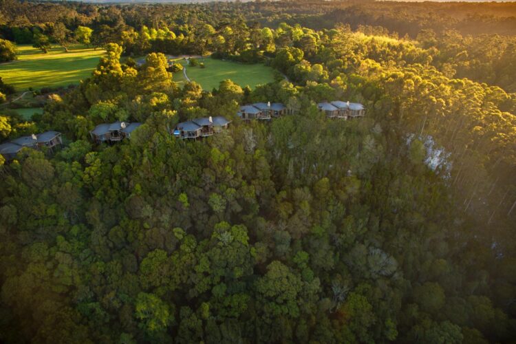 Tsala Treetop Lodge - View