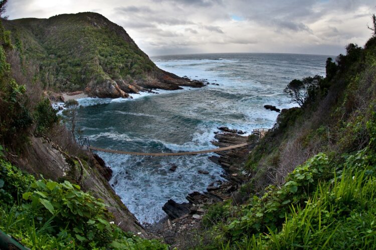 Garden Route mit Travel Lounge entdecken