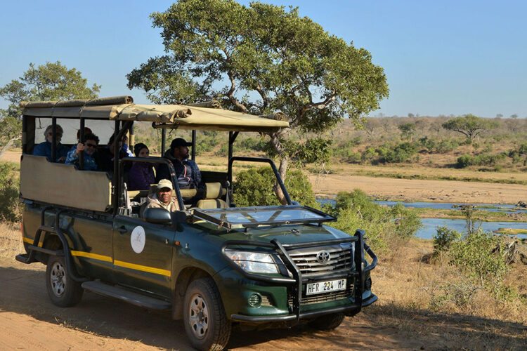 Pirschfahrt im Kruger Nationalpark