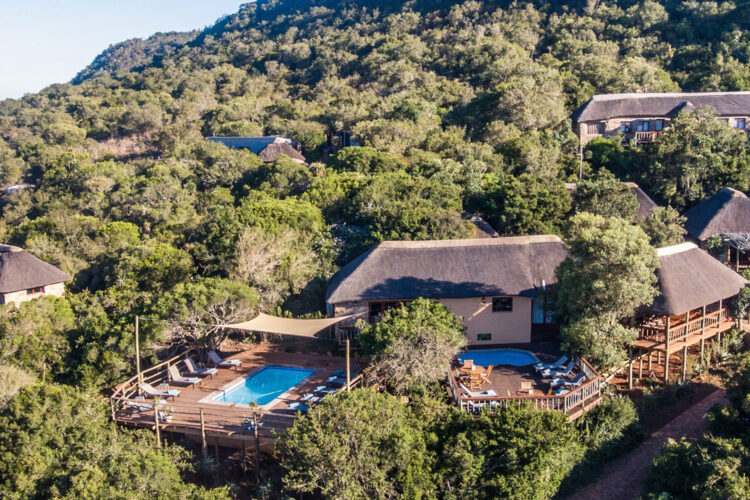 Woodbury Lodge Amakhala Game Reserve Südafrika