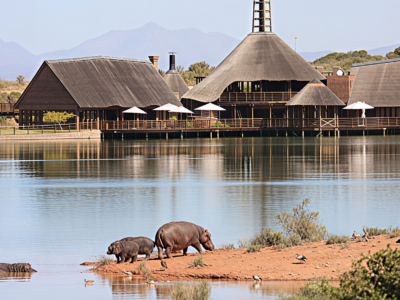 Buffelsdrift Game Lodge 1