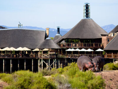 Buffelsdrift Game Lodge Oudtshoorn