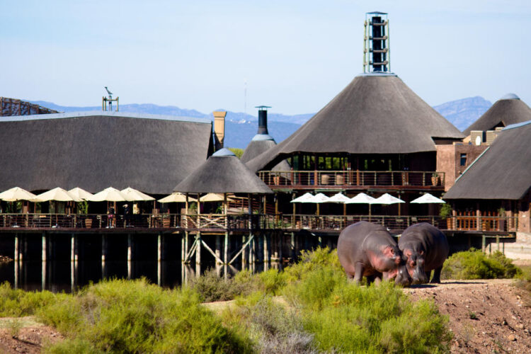 Buffelsdrift Game Lodge Oudtshoorn