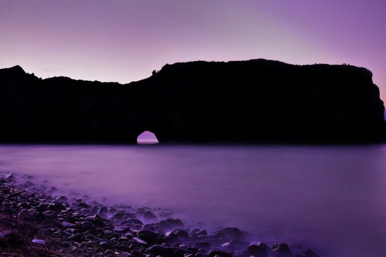 Wild Coast mit Travel Lounge entdecken