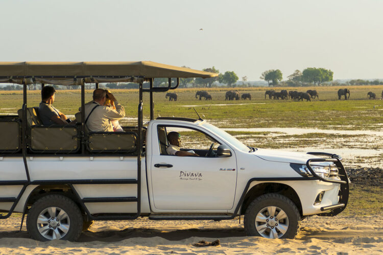 Divava Okavango Resort & Spa Pirschfahrt Buffalo Game Park
