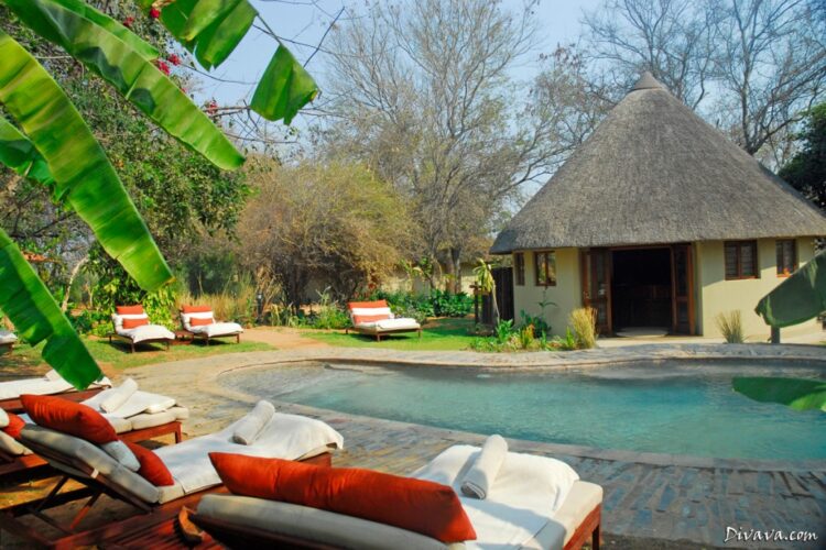 Divava Okavango Resort & Spa Pool