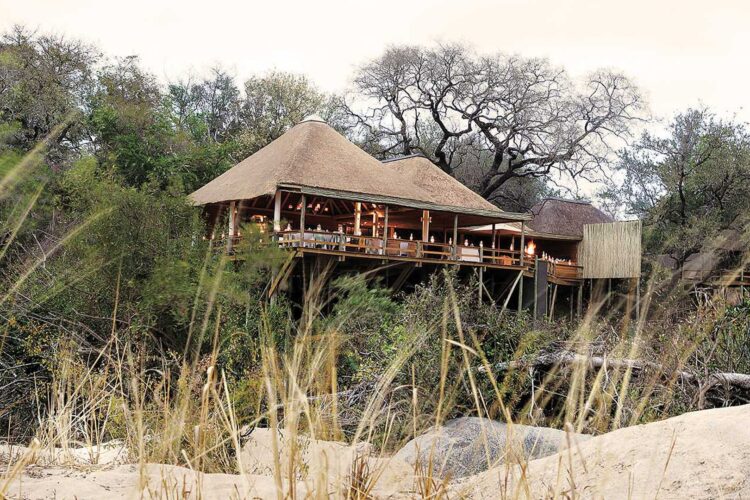 Londolozi Pioneer Camp