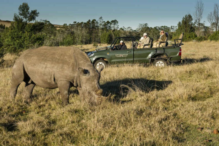 Gondwana Game Reserve Pirschfahrt