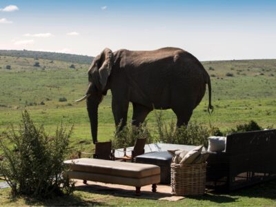 Gorah Elephant Camp