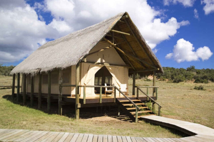 Gorah Elephant Camp Suite