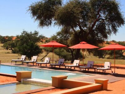 Zebra Kalahari Lodge bei Travel Lounge buchen