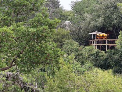 Londolozi Tree Camp Kruger Nationalpark