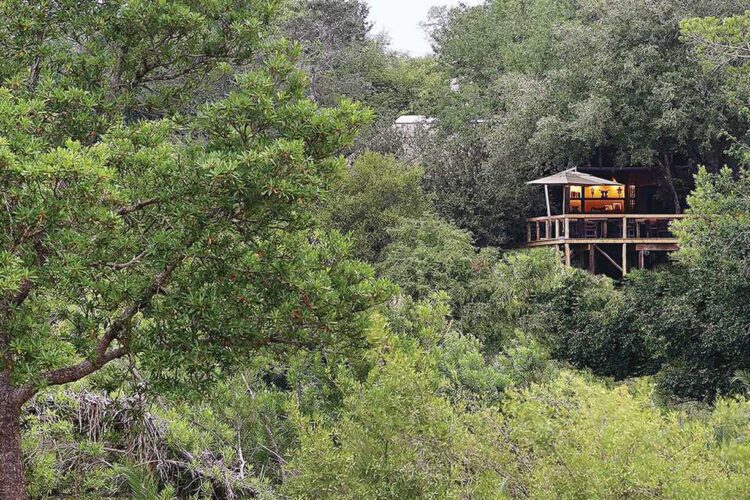 Londolozi Tree Camp Kruger Nationalpark