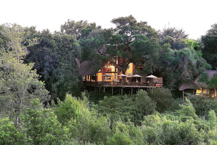 Londolozi Varty Camp 