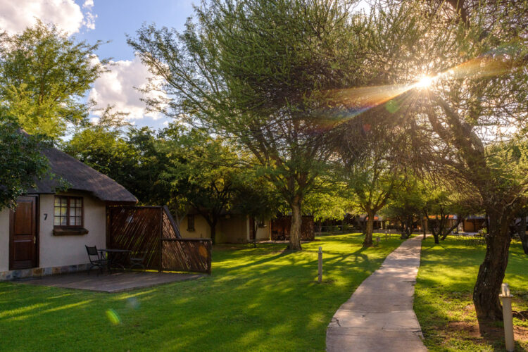 Mongena Game Lodge 