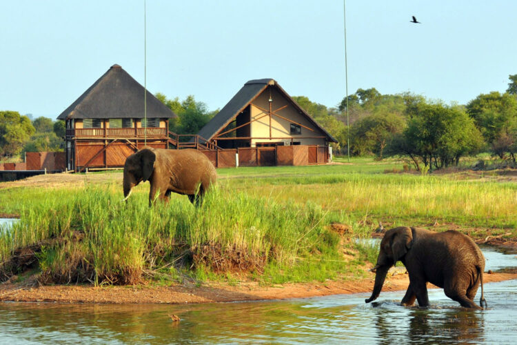 Mongena Game Lodge Elefanten
