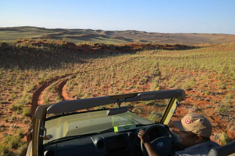 Namib Desert Lodge Nature Drive