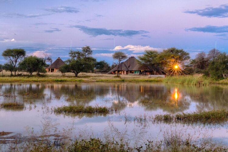 Okonjima Bush Camp Namibia