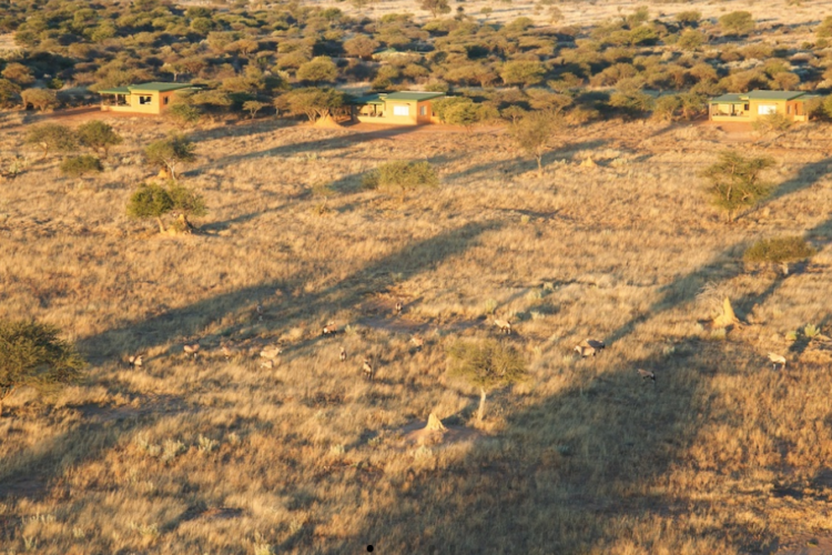 Okonjima Plains Camp