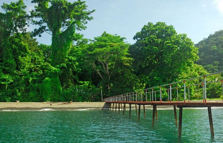 Playa Nicuesa Rain Forest Lodge Corcovado Nationalpark Costa Rica Strand