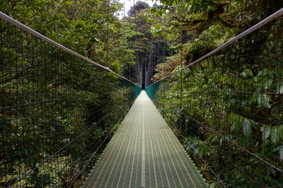 Monteverde Nationalpark