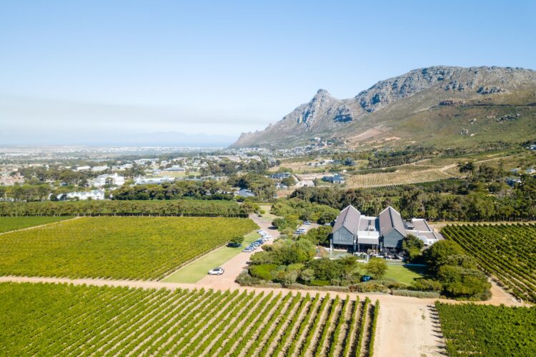 Steenberg Hotel & Spa 